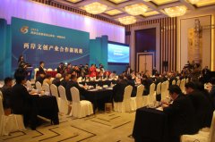 2013紫金山峰会文创产业合作论坛在宁举行